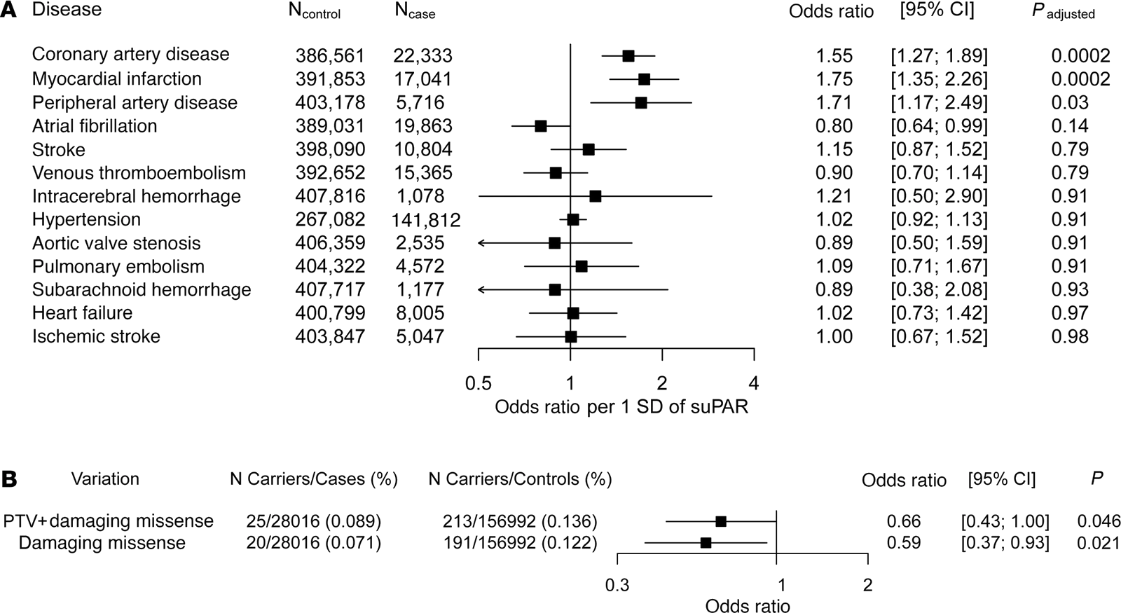 Two forest plots. The upper plot gives the causal effect of genetically predicted suPAR on 13 cardiovascular diseases as an odds ratio per one standard deviation of suPAR, with the number of cases and controls listed beside each. Coronary artery disease sits at 1.55, myocardial infarction at 1.75 and peripheral artery disease at 1.71, each with a confidence interval clear of 1. Atrial fibrillation, stroke, venous thromboembolism, intracerebral hemorrhage, hypertension, aortic valve stenosis, pulmonary embolism, subarachnoid hemorrhage, heart failure and ischemic stroke all sit near 1 with intervals crossing it. The lower plot is a rare variant collapsing analysis of the UK Biobank exomes: carriers of protein-truncating plus damaging missense variants in PLAUR have an odds ratio of 0.66 for ischemic heart disease, and carriers of damaging missense variants alone 0.59, both below 1.